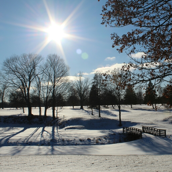 ♡Meet your Posher: Sharon Kay Beyer "Wear Nature " - Picture 4 of 7